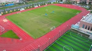 麻将与心理学（牌桌与心智：麻将的心理学透视）